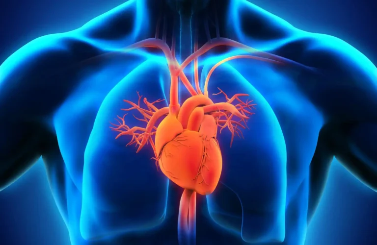 BadlapurCity | हृदयाच्या समस्यांचे चेतावणी संकेत ओळखा आणि आरोग्याच्या बाबतीत सजग राहा