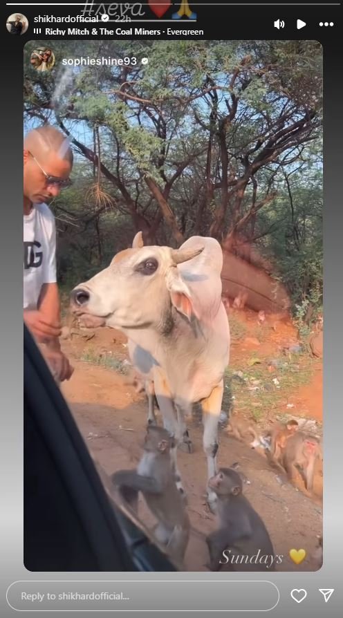 शिखर धवन ने की गौ सेवा, गर्लफ्रेंड सोफी शाइन ने शेयर किया क्रिकेटर का वीडियो