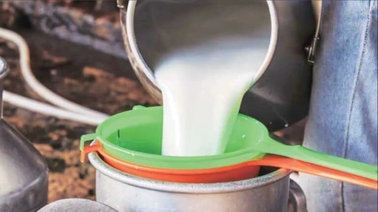 Gokul milk price hike after amul, gokul increases rates of full cream and cow milk from may 4
