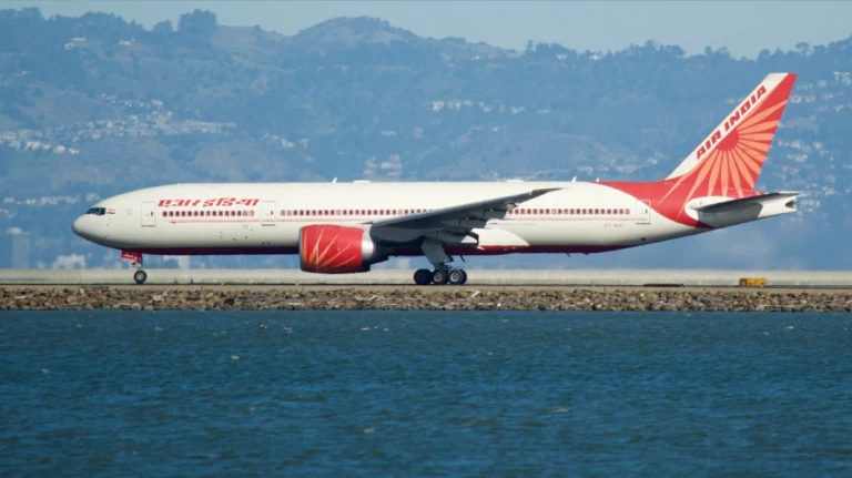 Cockroaches spotted on air indias san francisco mumbai flight.1578947368421&height=683&w=768&width=1024