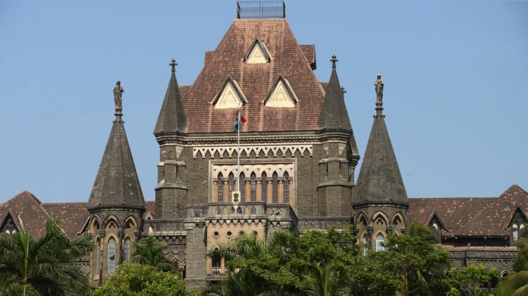 Bombay high court grants partial relief to mmrda in mumbai metro-1 dispute with mmopl 4 Bombay high court grants partial relief to mmrda in mumbai.1578947368421&height=800&w=768&width=1198