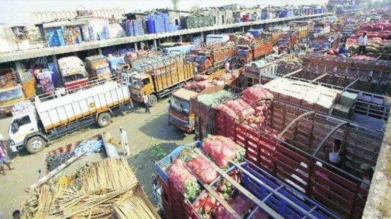Exports halted at vashi apmc