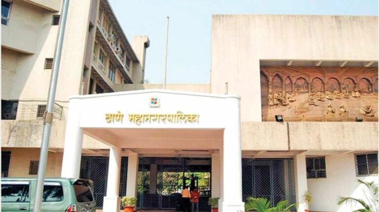 Thane municipal corporation to plant 50,000 bamboo saplings