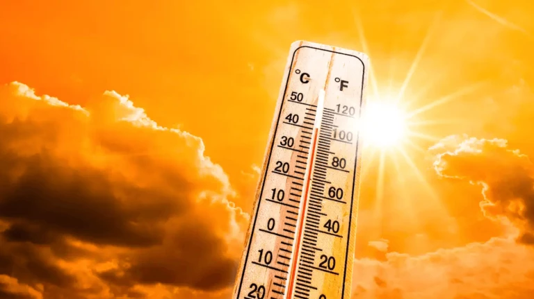 Imd issues yellow alert for mumbai as temperature may touch.1578947368421&height=831&w=768&width=1477
