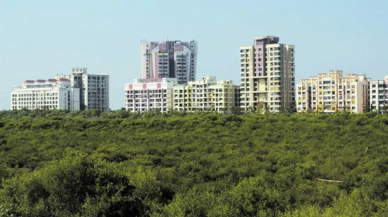 Mumbai's first mangrove park in gorai to be inaugurated on may 28 4 Mumbais first mangrove park in gorai to be inaugurated on.1578947368421&height=768&w=768&width=1368